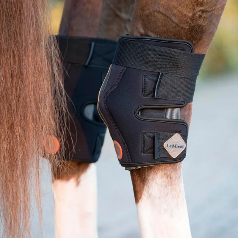 LeMieux Conductive Magnotherapy Hock Boot-3