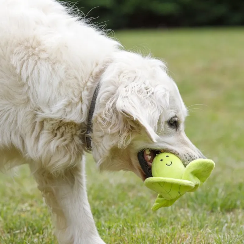 Petface Foodie Faces Fluffy Sprout Plush Dog Toy-2