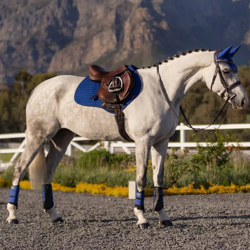 LeMieux Close Contact Suede Square - Benetton Blue-1