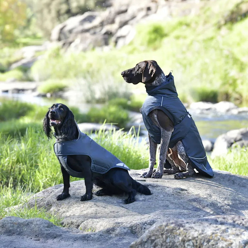 WeatherBeeta Explorer Medium Dog Coat Navy-1