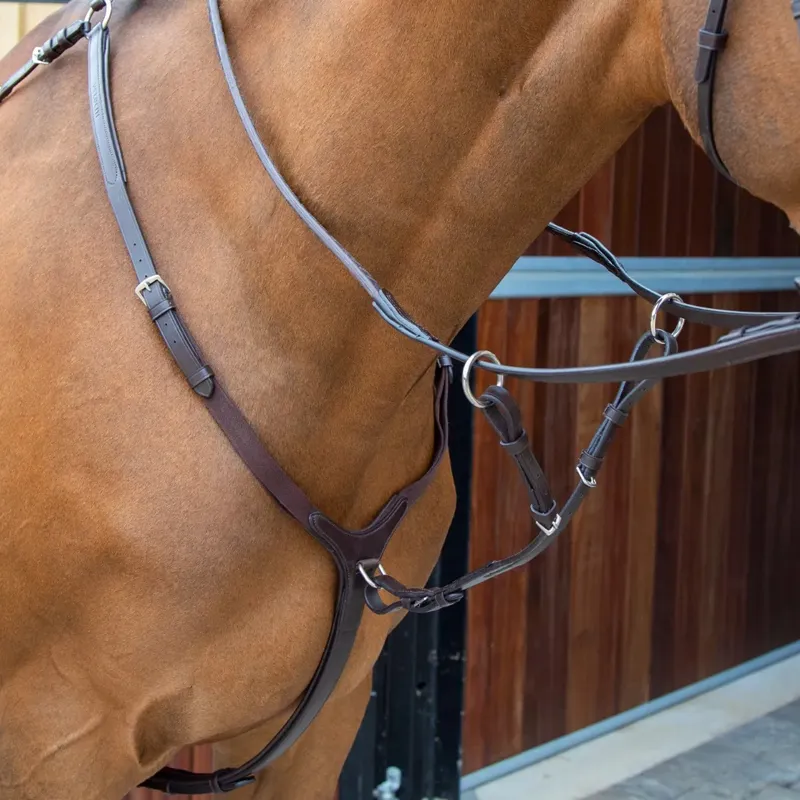 Lusso Breastplate - Havana