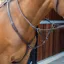 Lusso Breastplate - Havana