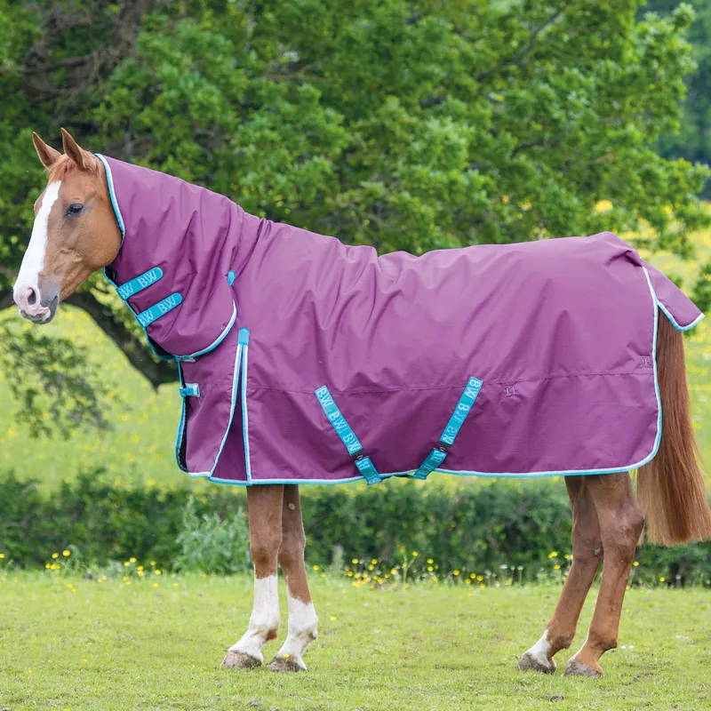Bridleway Ontario 220g Combo Turnout Rug - Berry
