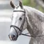 Bridleway Melton Padded Raised Flash Bridle - Havana