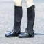 Bridleway Suede Half Chaps - Black
