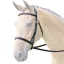 Bridleway Lavello Raised Cavesson Bridle - Havana