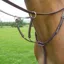 Bridleway Lavello Running Martingale - Havana