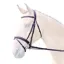 Bridleway Lavello Padded Crank Flash Bridle - Havana