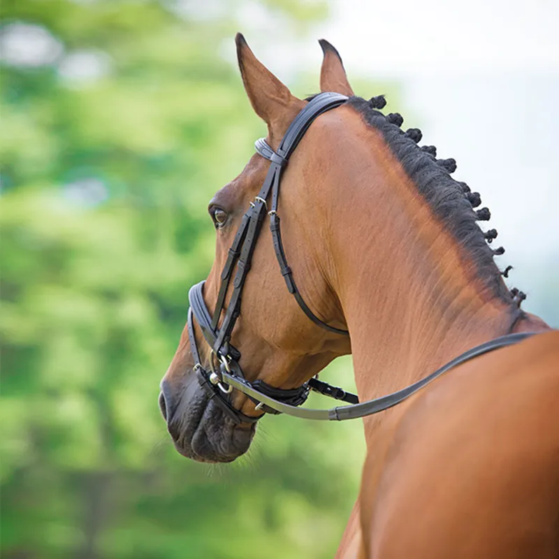 Bridleway Lavello Padded Crank Flash Bridle - Black-1