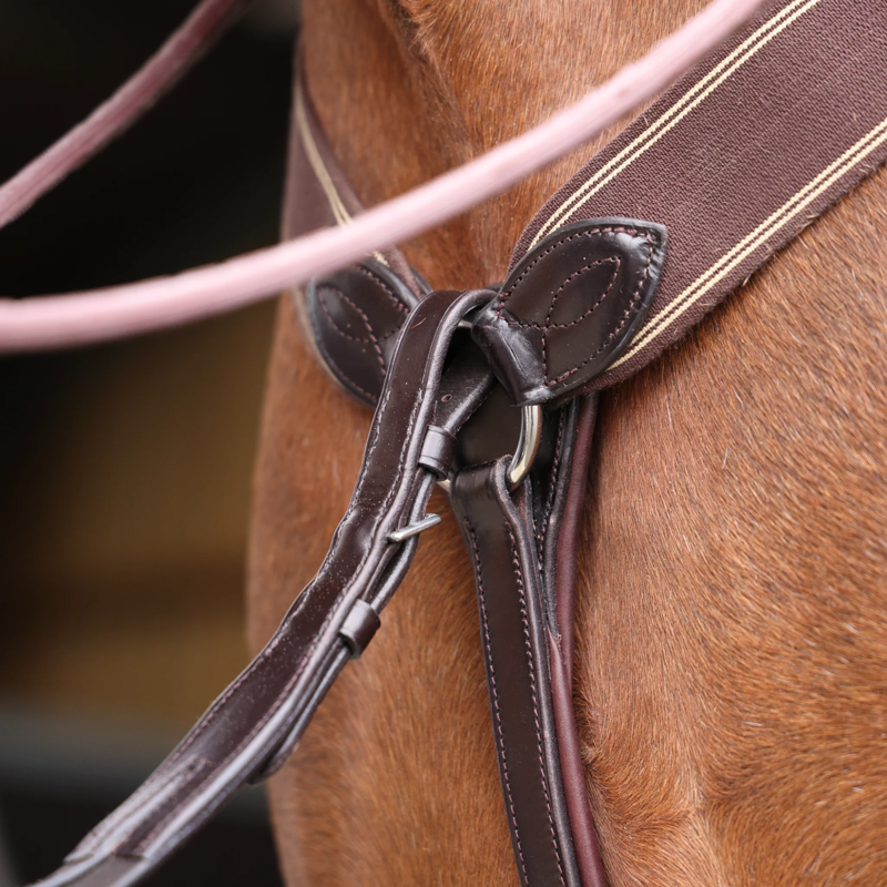 Lusso Three Point Elastic Breastplate - Havana-1