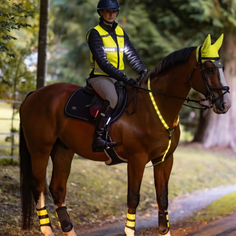 Woof Wear Junior LED Hi Vis Riding Vest - Hi Viz Yellow-4