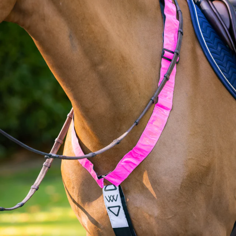 Woof Wear Hi Vis Neck Band - Pink-2