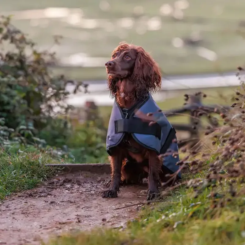 WeatherBeeta ComFiTec Classic Dog Coat - Dark Grey-2