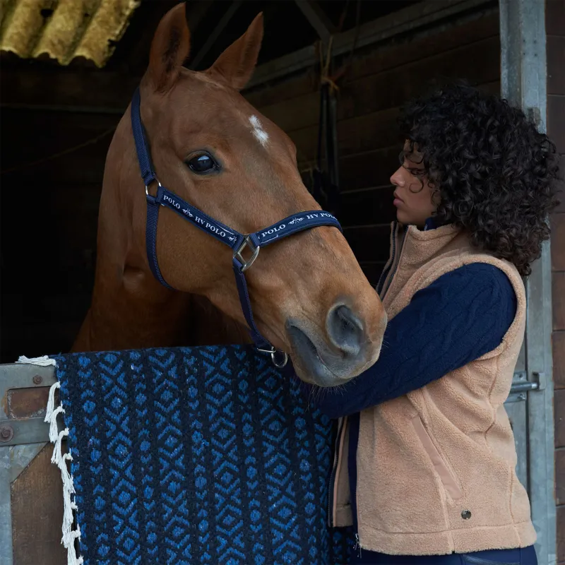 HV Polo Ladies Valeria Bodywarmer - Camel-1