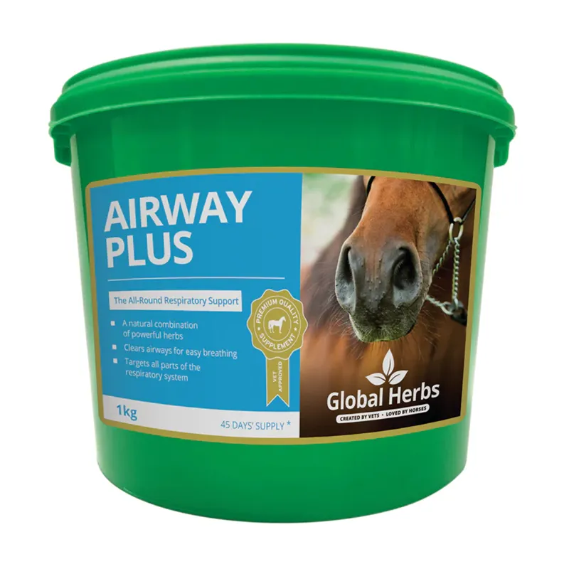 Global Herbs Airway Plus Powder - 1kg