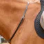 Altino Horse Neck Strap - Black