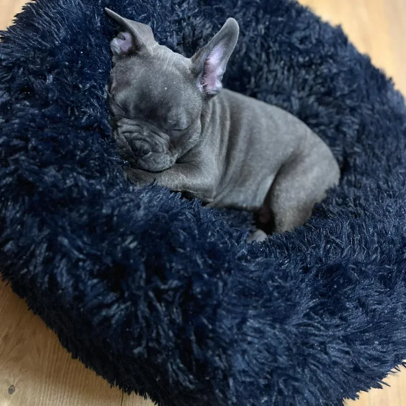 Snug and Cosy Anti Anxiety Donut Bed - Blue