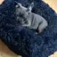 Snug and Cosy Anti Anxiety Donut Bed - Blue