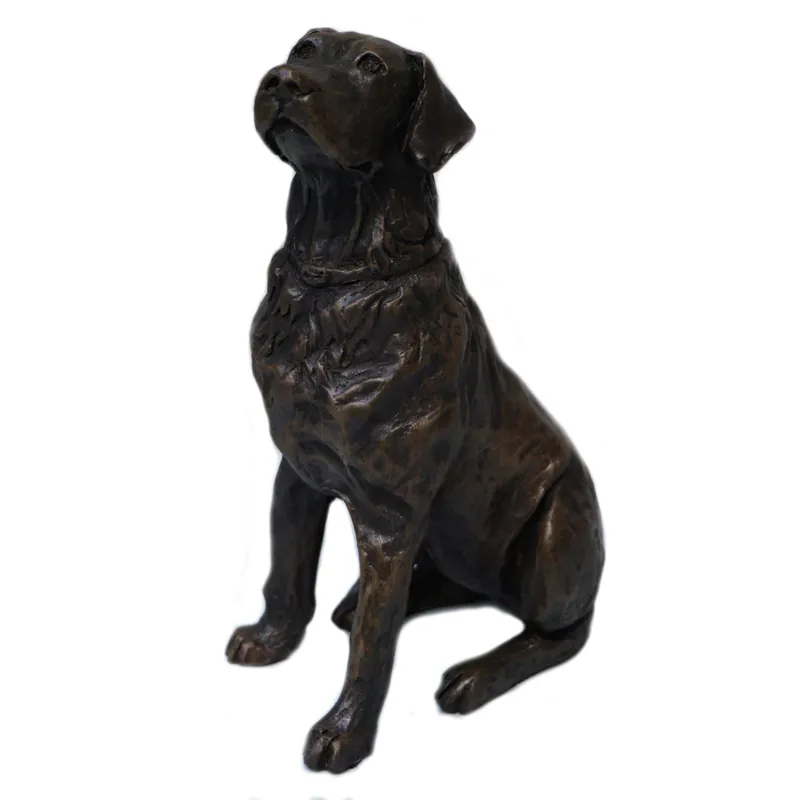 Oriele Bronze Labrador - Bronze