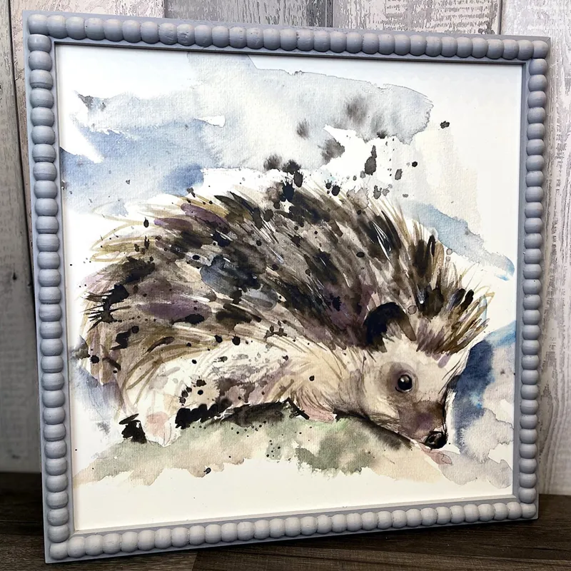 Langs Hedgehog Picture