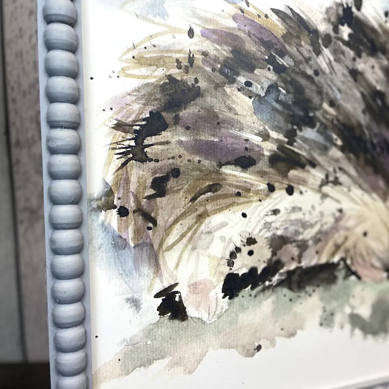 Langs Hedgehog Picture-1