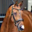 Lusso Dressage Flash Bridle Black
