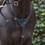 Cameo Performance Breastplate - Brown