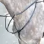 Bridleway Melton Breastplate - Black