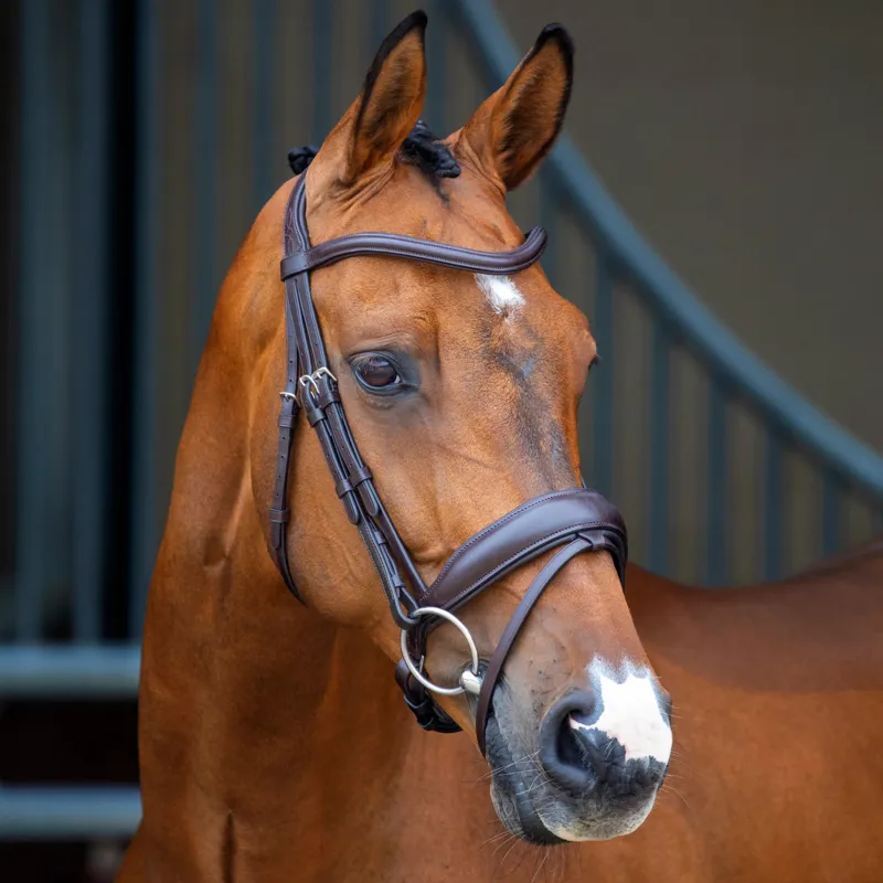Lusso Dressage Flash Bridle - Havana