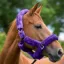 Cameo Deluxe Headcollar - Purple