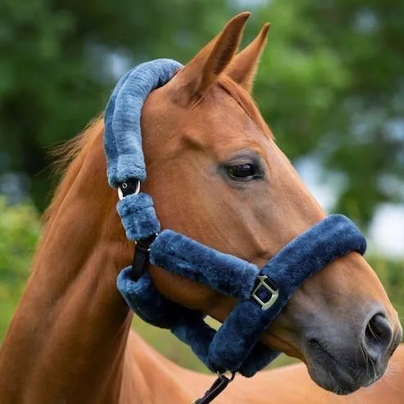 Cameo Deluxe Headcollar - Dark Grey