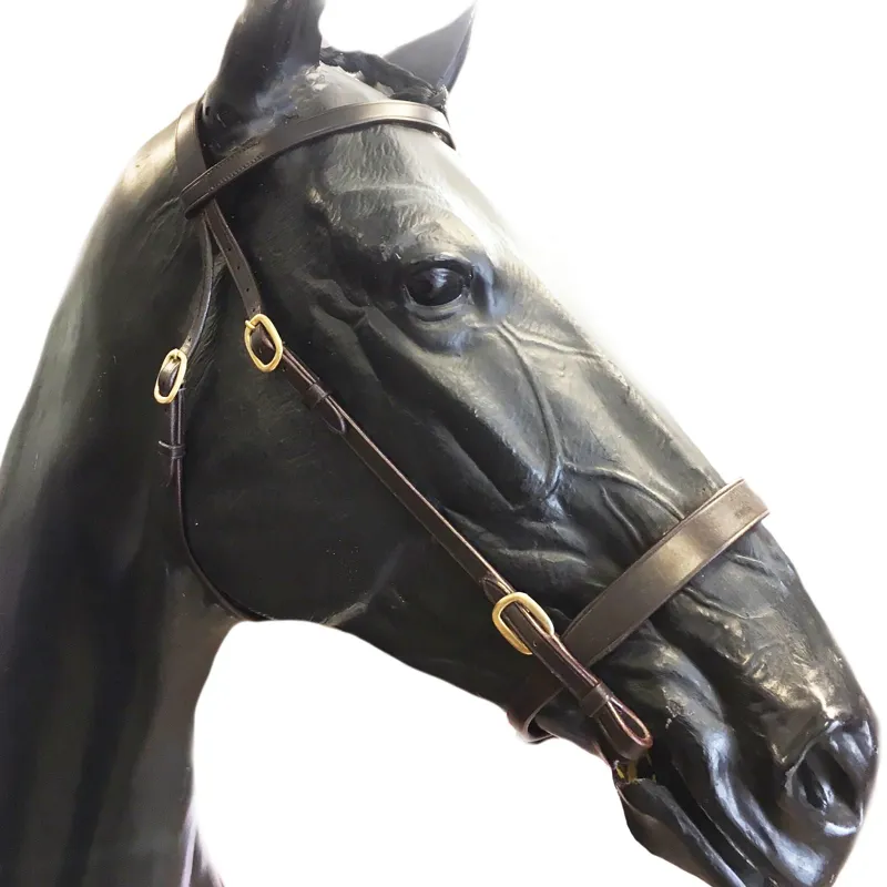 Cameo In Hand Bridle With Lead - Black