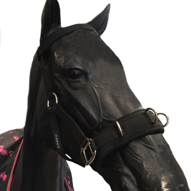 Cameo Lunging Cavesson - Black