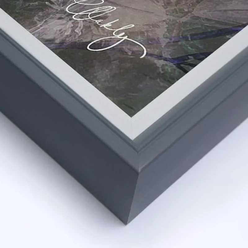 Charlotte Oakley Dougie Canvas-1