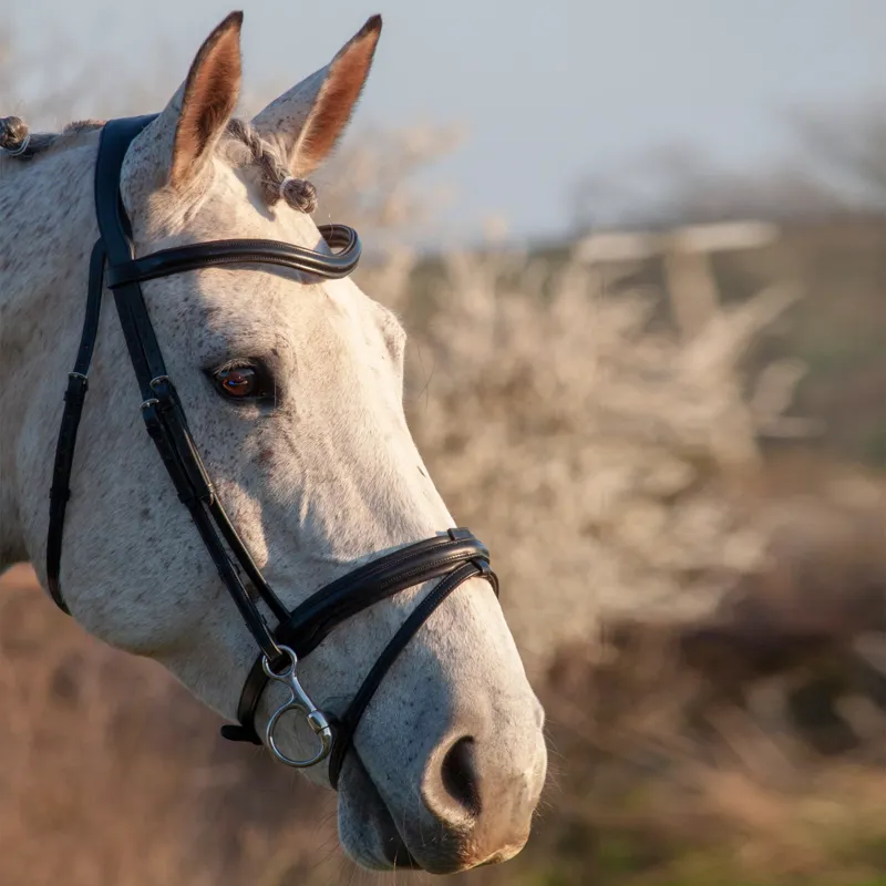 Henry James Saddlery Comfort Flash Bridle - Black-1