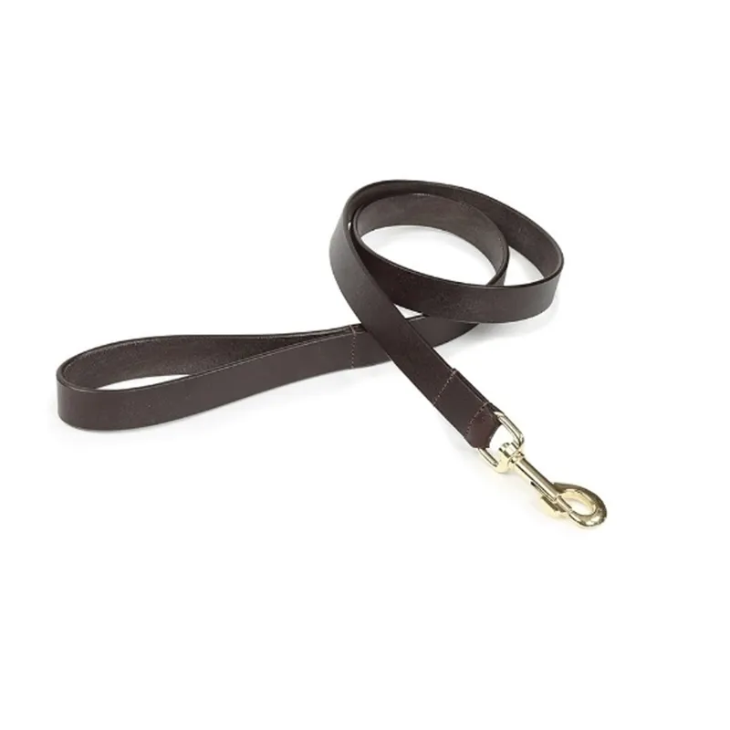 Digby and Fox Flat Leather Dog Lead Brown