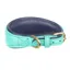 Digby and Fox Padded Leather Greyhound Collar - Teal