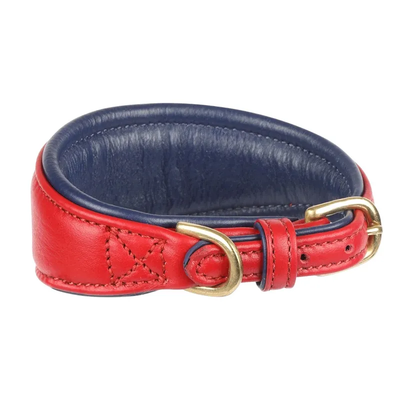 Digby and Fox Padded Leather Greyhound Collar - Scarlett