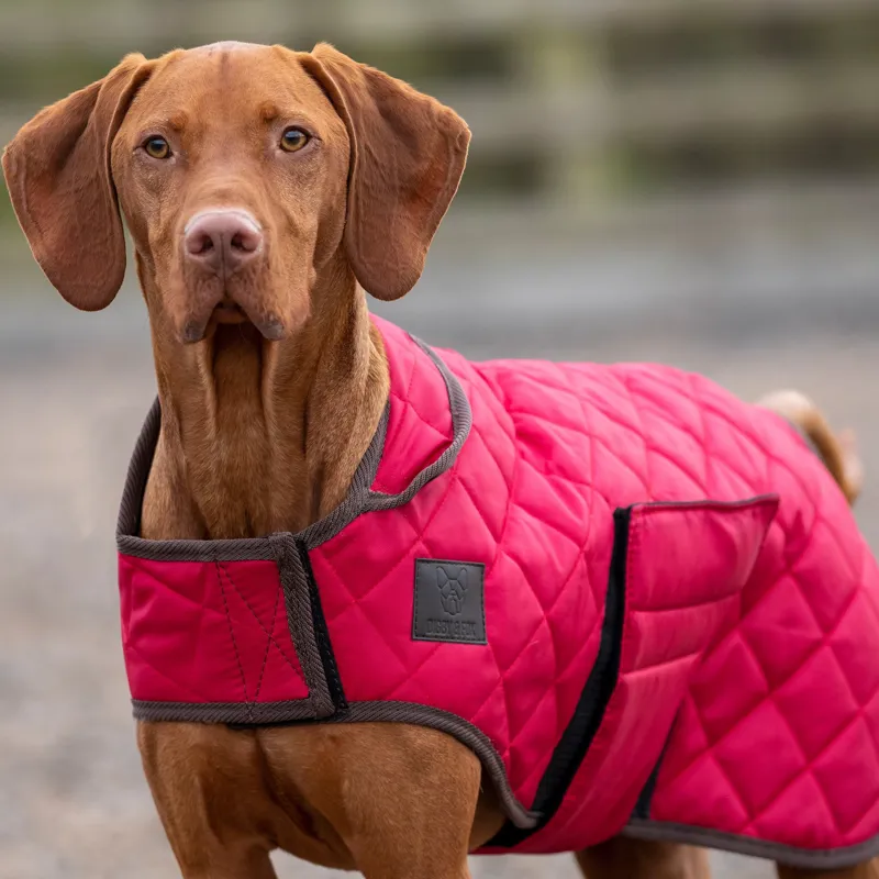Digby and Fox Heritage Dog Coat - Red-1
