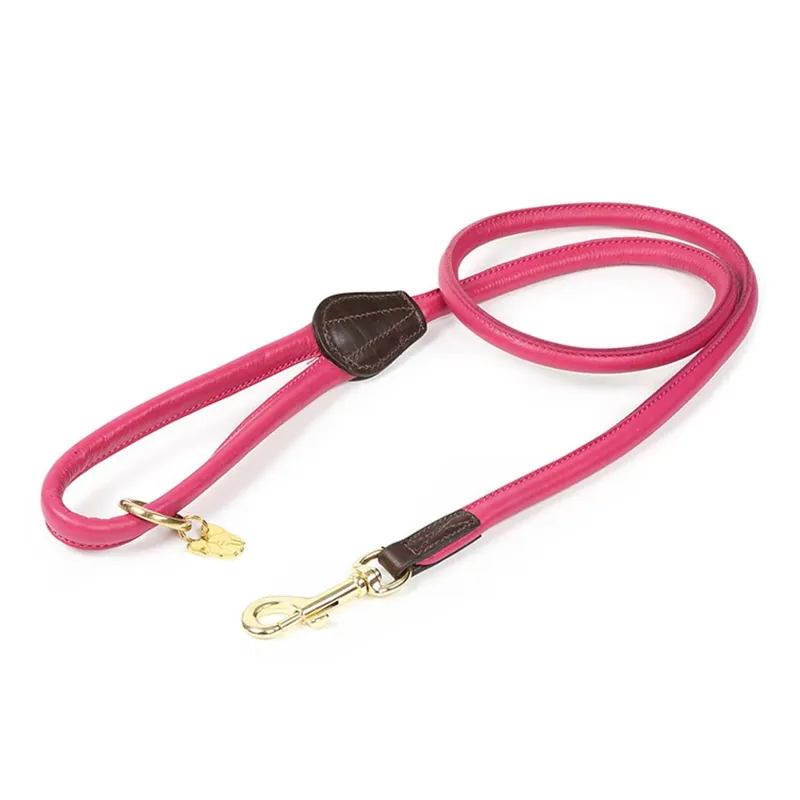 Digby and Fox Rolled Leather Dog Lead - Pink