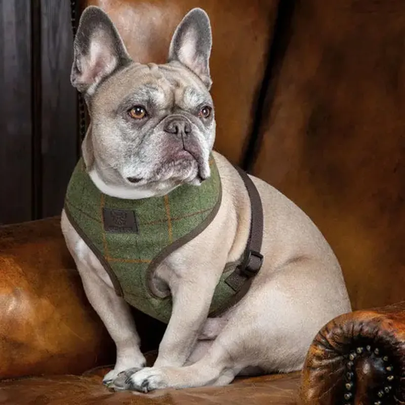 Digby and Fox Tweed Dog Harness Green