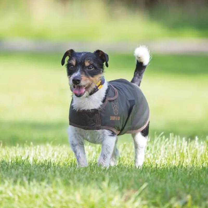 Digby and Fox Wax Coat Olive