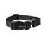 Doodlebone Originals Collar - Black