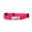 Doodlebone Originals Collar - Pink
