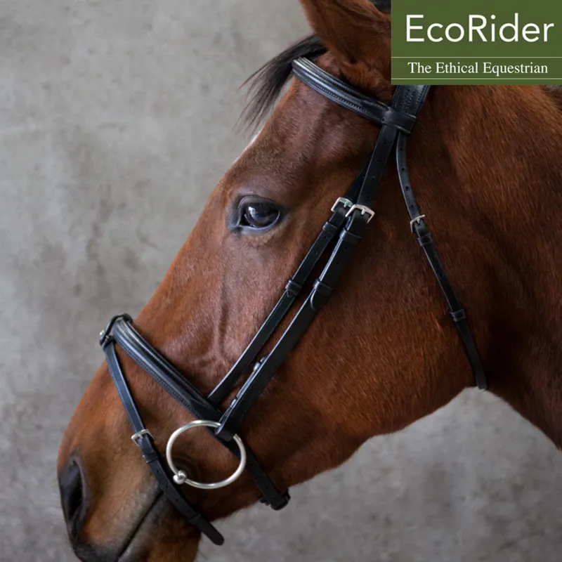 EcoRider Classic Comfort Bridle - Black