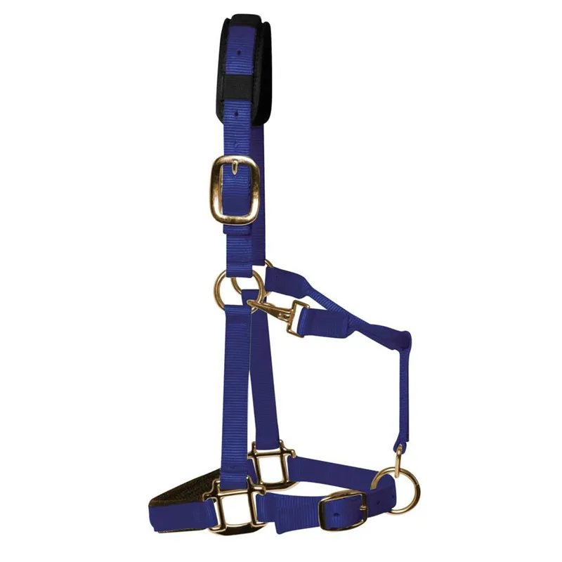 KM Elite Padded Headcollar - Royal Blue