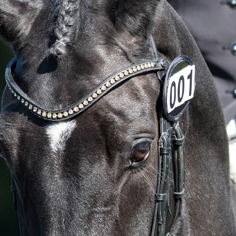 Bridle Dressage Numbers - Pair
