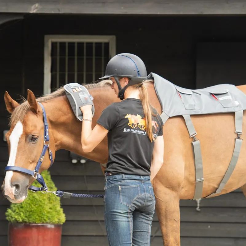 Equilibrium Massage Pad and Hotspot Combo - Pony-1