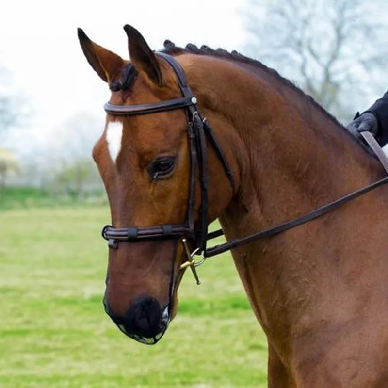 Equilibrium Net Relief Muzzle Net - Black-1