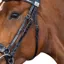 Fairfax Bridle Snaffle Throat Lash - Black